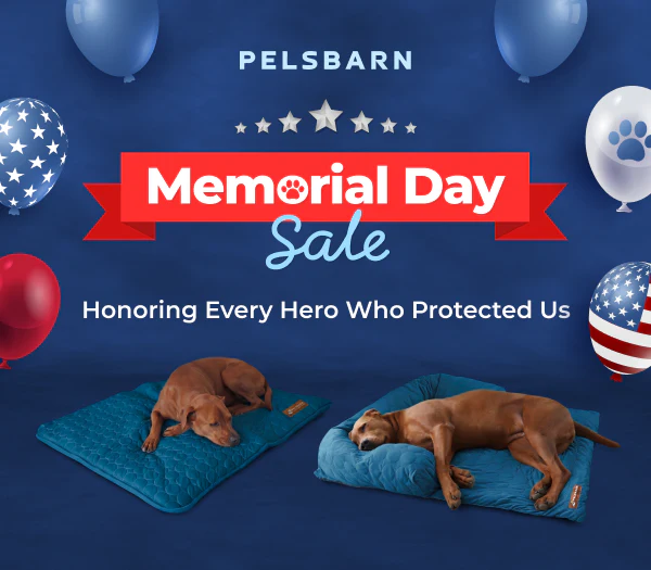 Premium Comfort for Every Dog
