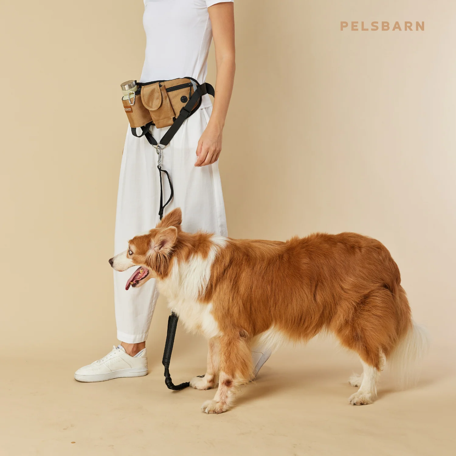 All-in-one Dog Walking Bag - Image 10