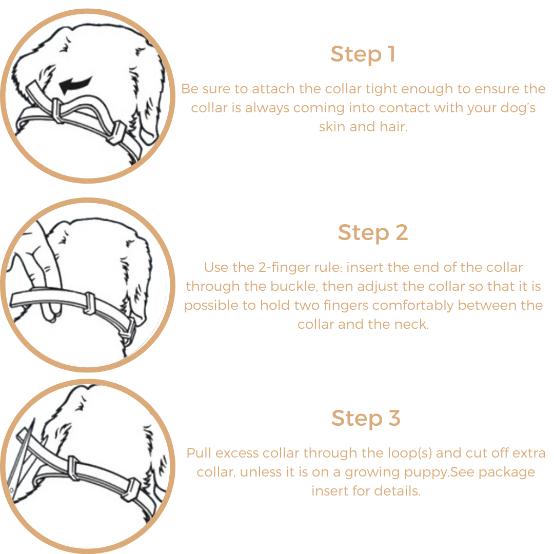 Anti Tick & Flea Collar - Image 2