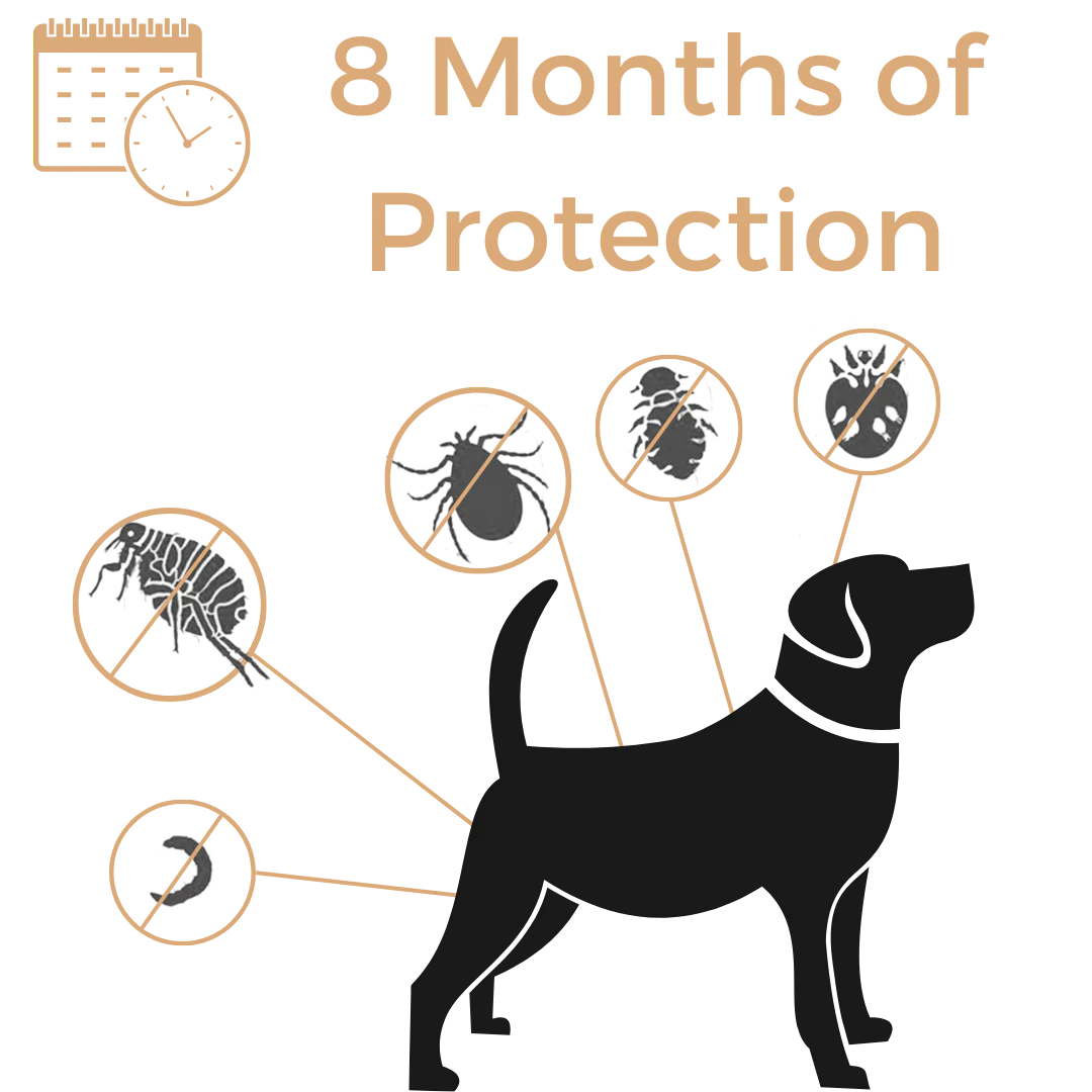 Anti Tick & Flea Collar - Image 3