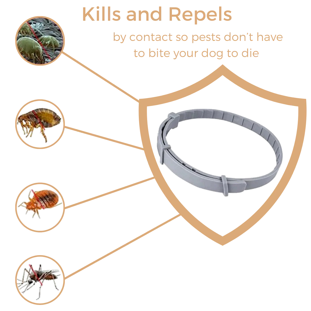 Anti Tick & Flea Collar - Image 4