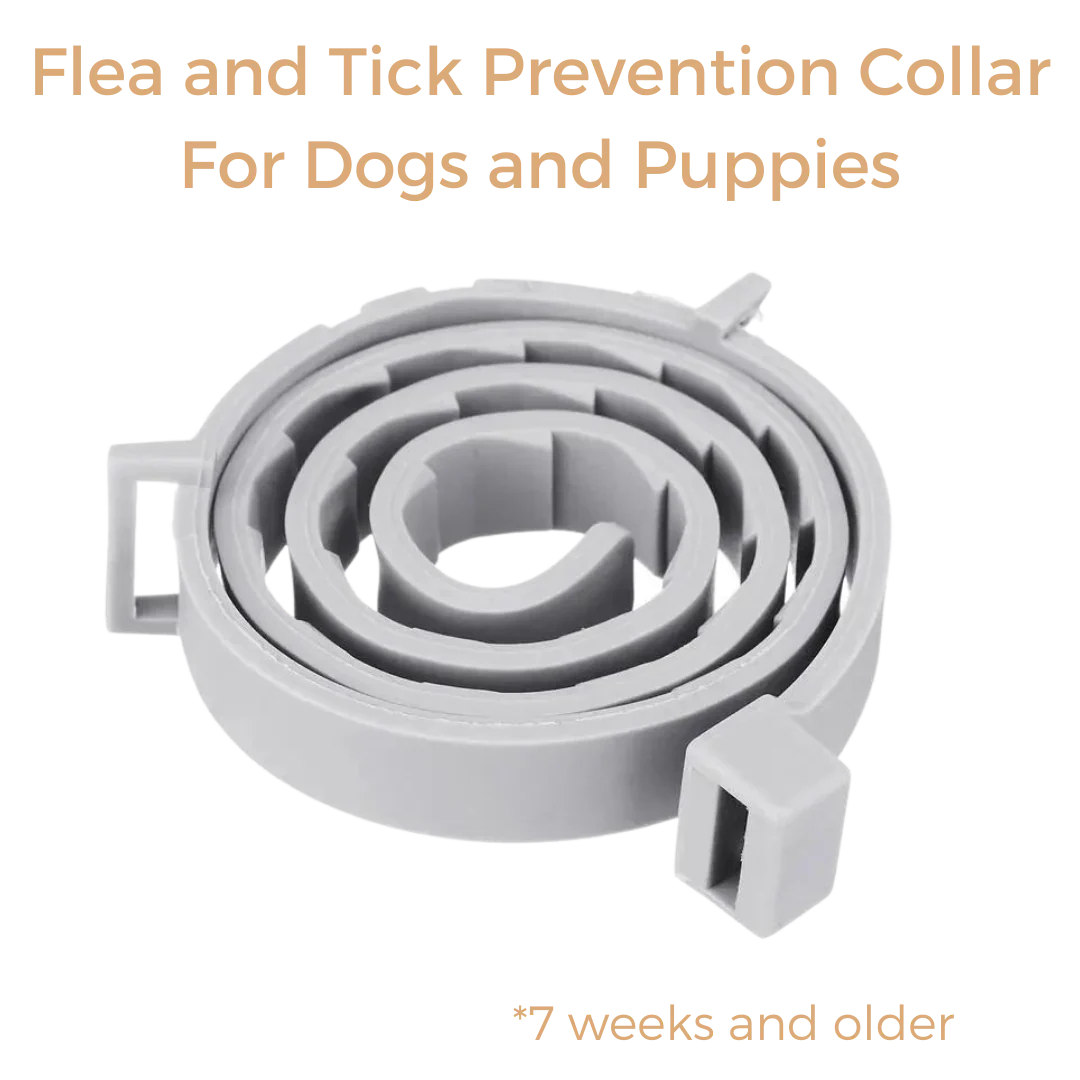 Anti Tick & Flea Collar - Image 5