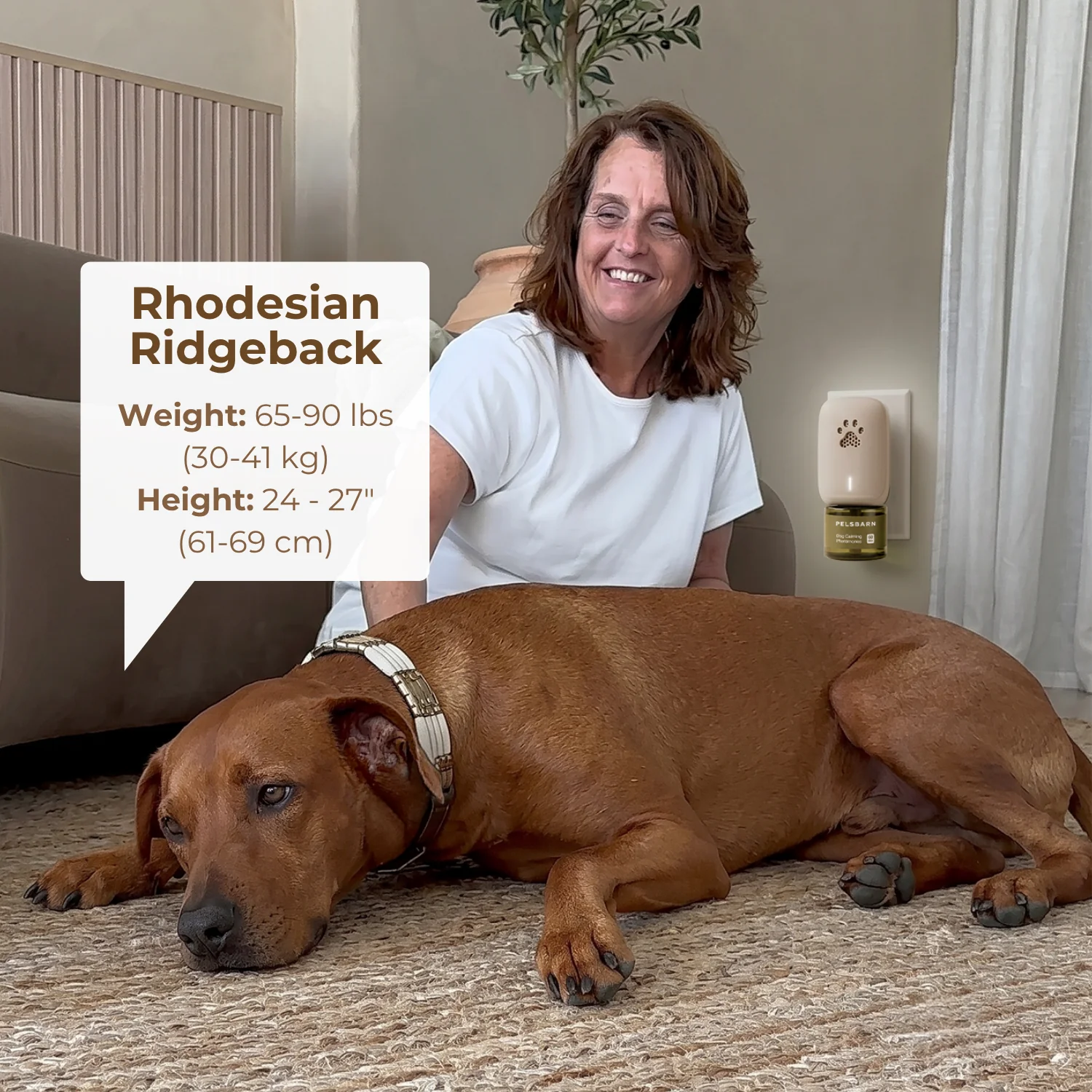 Calming Dog Diffuser - Image 15