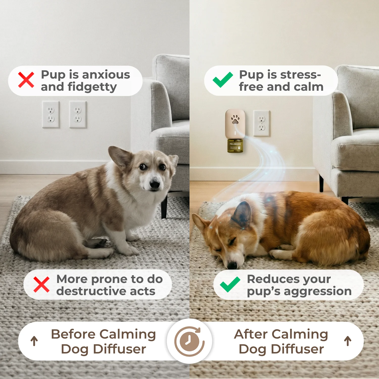 Calming Dog Diffuser - Image 4