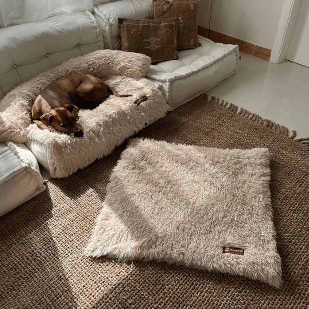 Calming Relief Blanket - Image 6