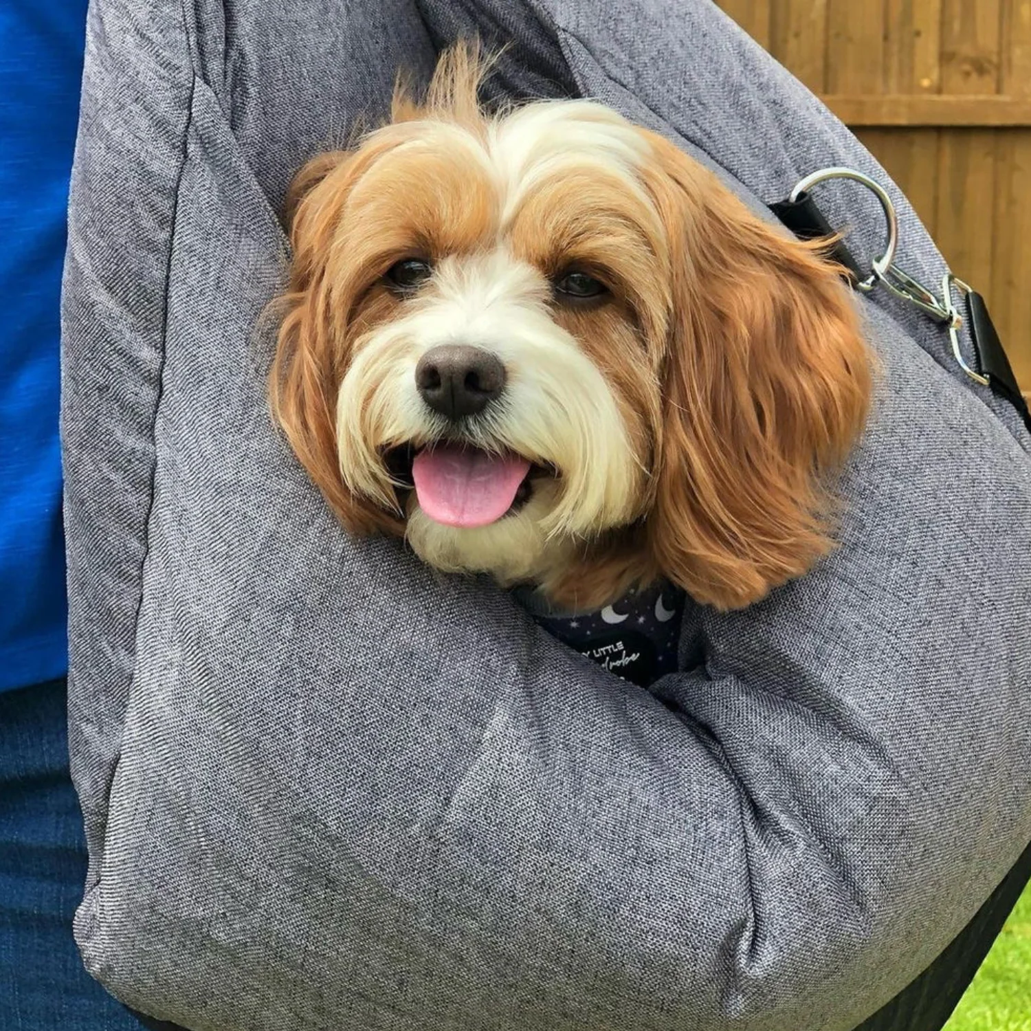 Luxurious Dog Car Bed - Image 18