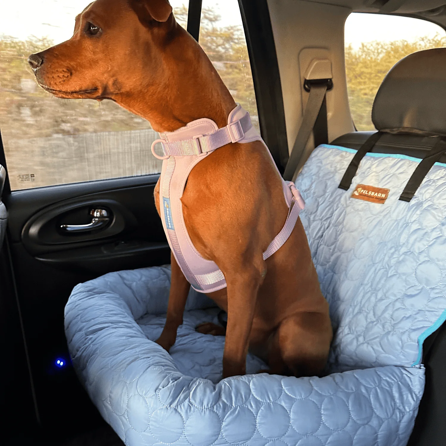Pelsbarn Cooling Car Bed - Image 13