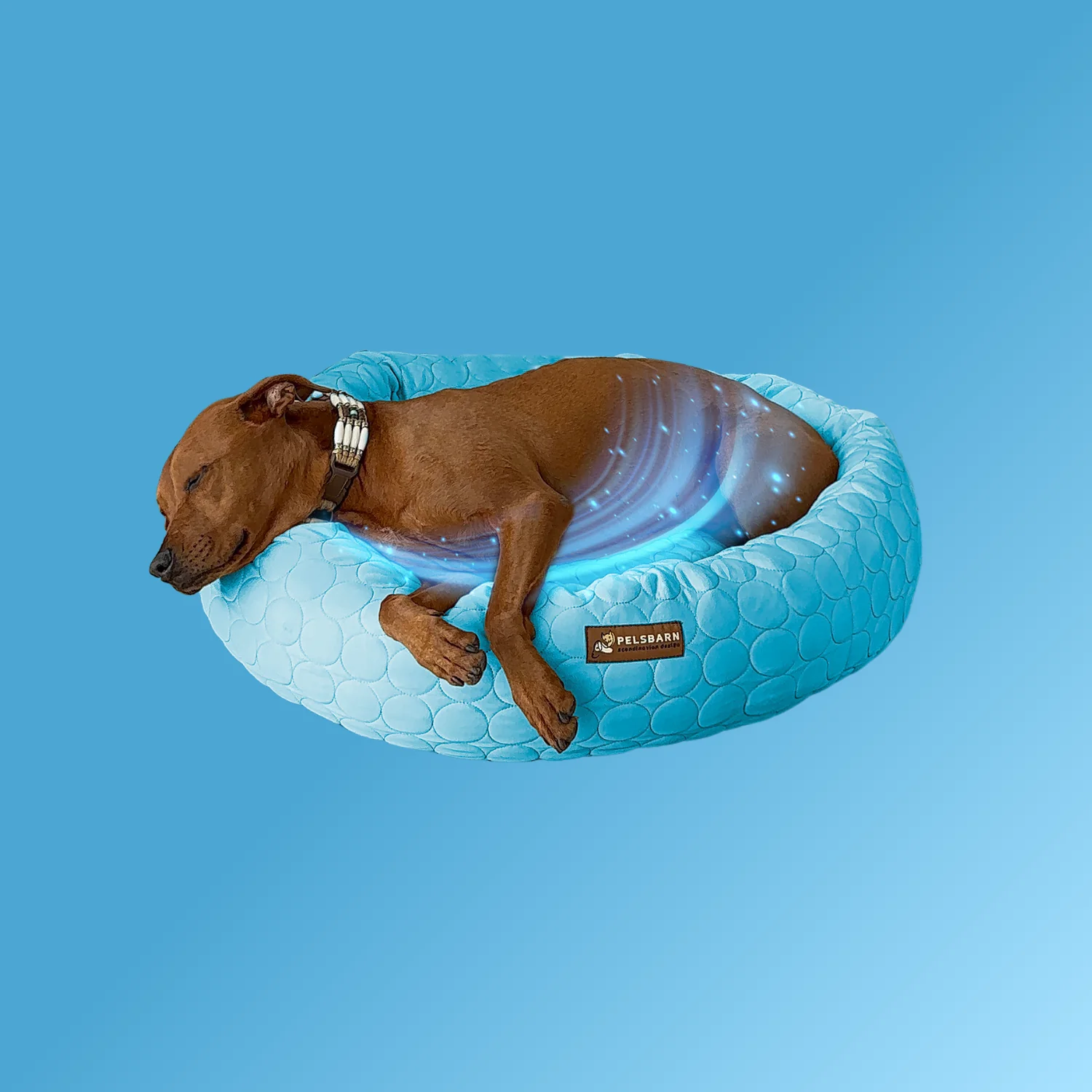 COOLING DONUT