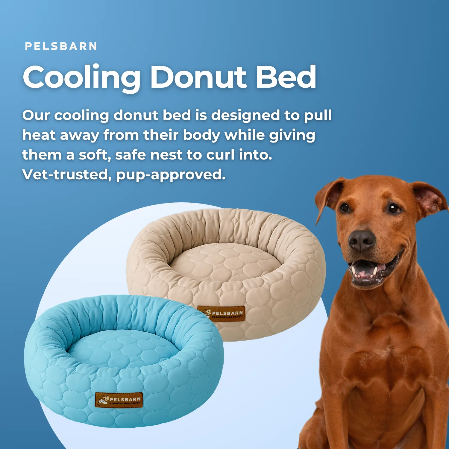 Cooling Donut Bed - Image 10