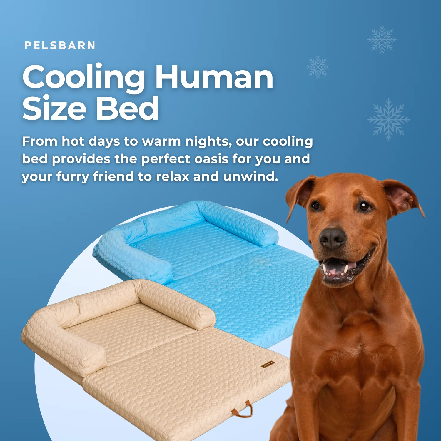 Human Size Cooling Dog Bed - Image 6