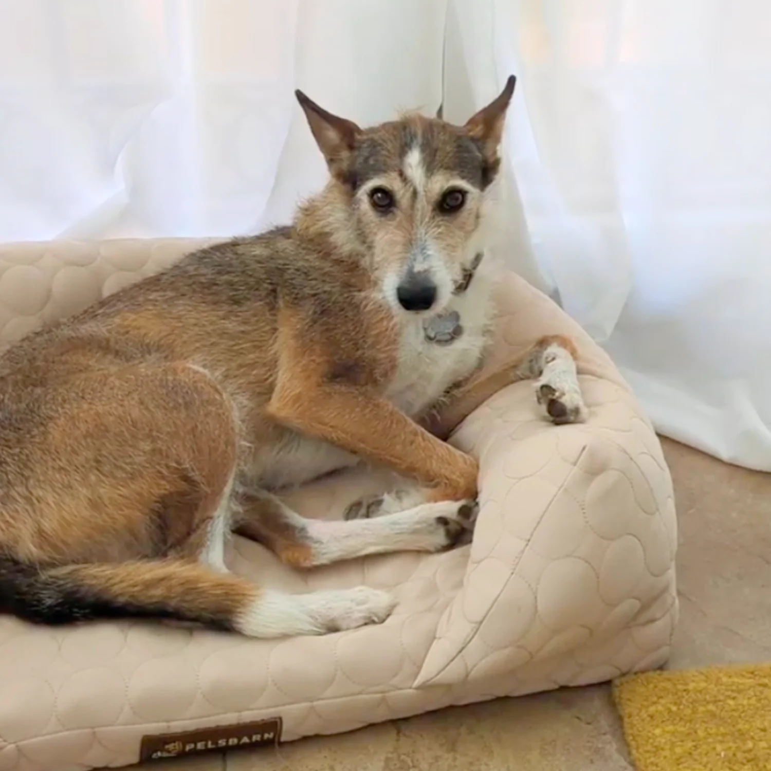 Cooling Orthopedic Bed - Image 16