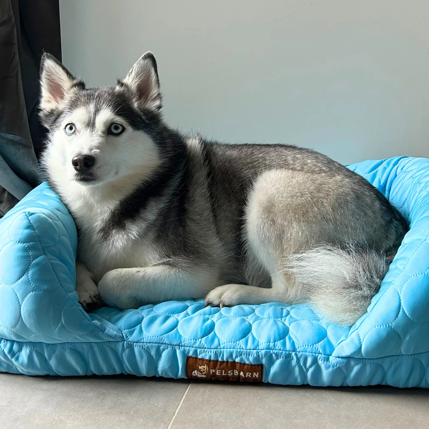 Cooling Orthopedic Bed - Image 17