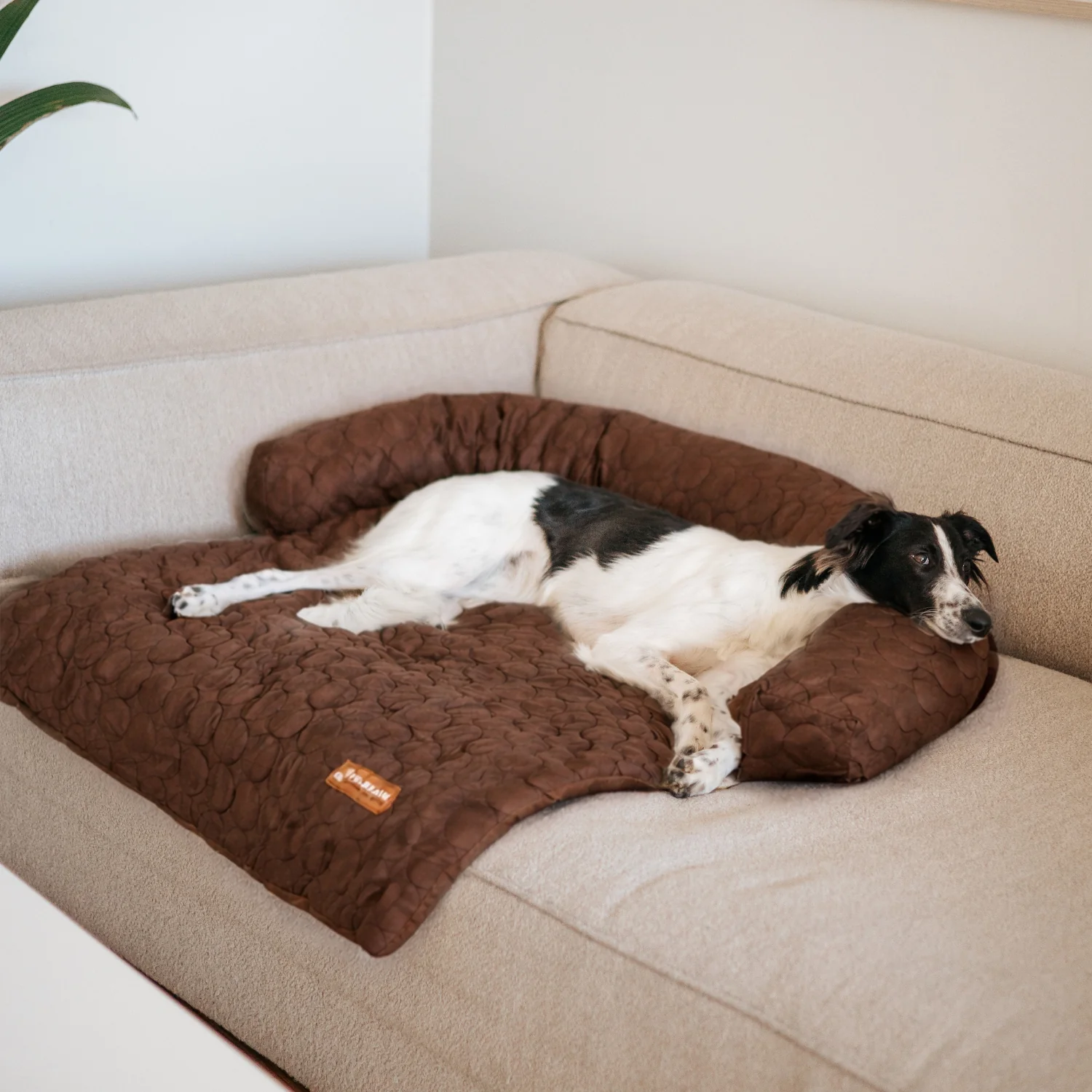 Pelsbarn Cooling Bed (4x more effective) - Image 15