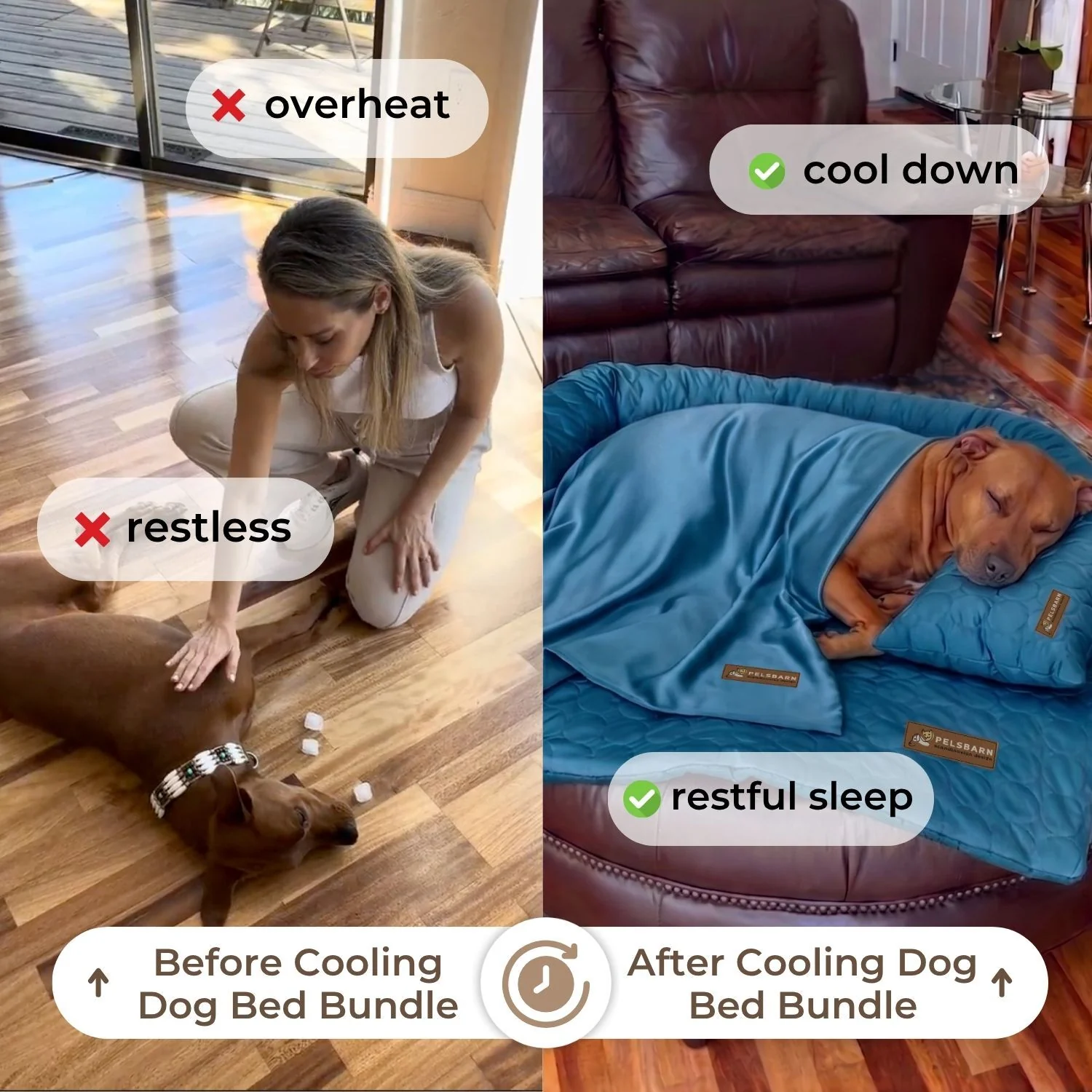 Heatrelief Cooling Dog Bed Complete Bundle - Image 17