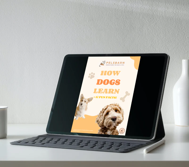 Dogs Live Longer - Digital Bundle - Image 2