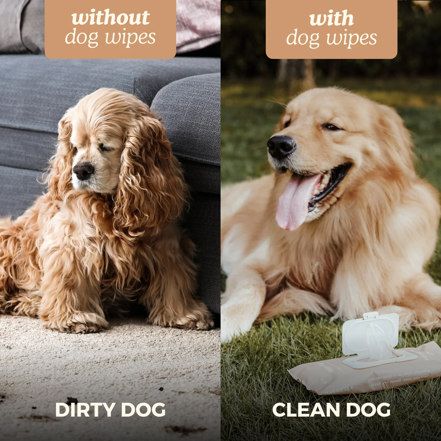 Eco Dog Wipes for clean paws - Image 10