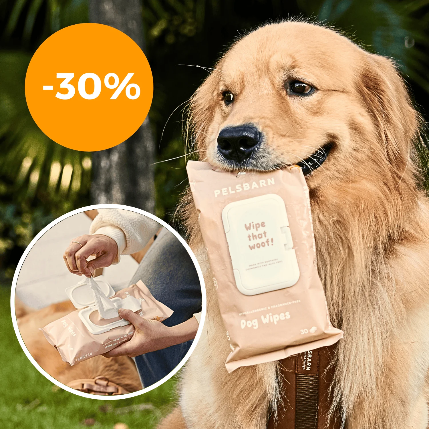 Eco Dog Wipes for clean paws - Image 3