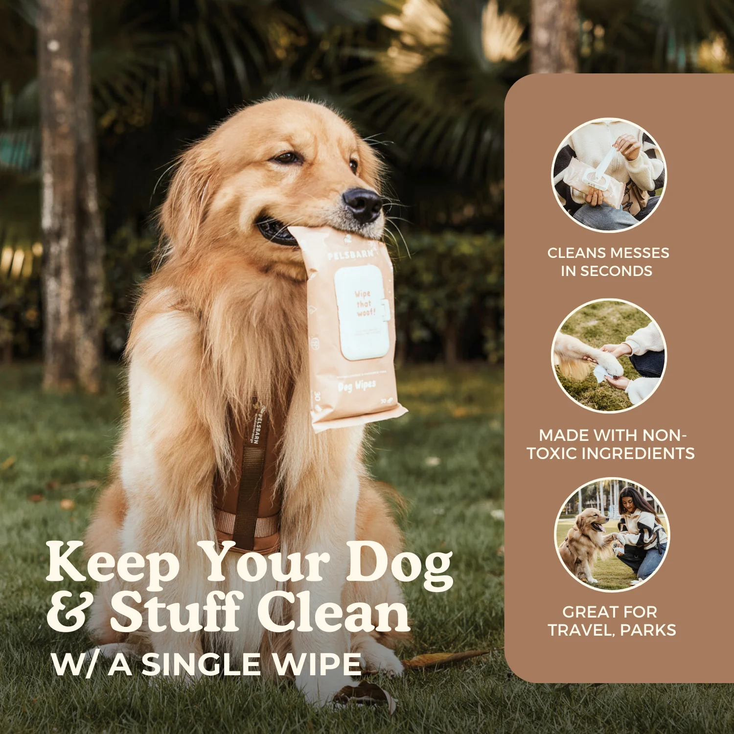 Eco Dog Wipes for clean paws - Image 5