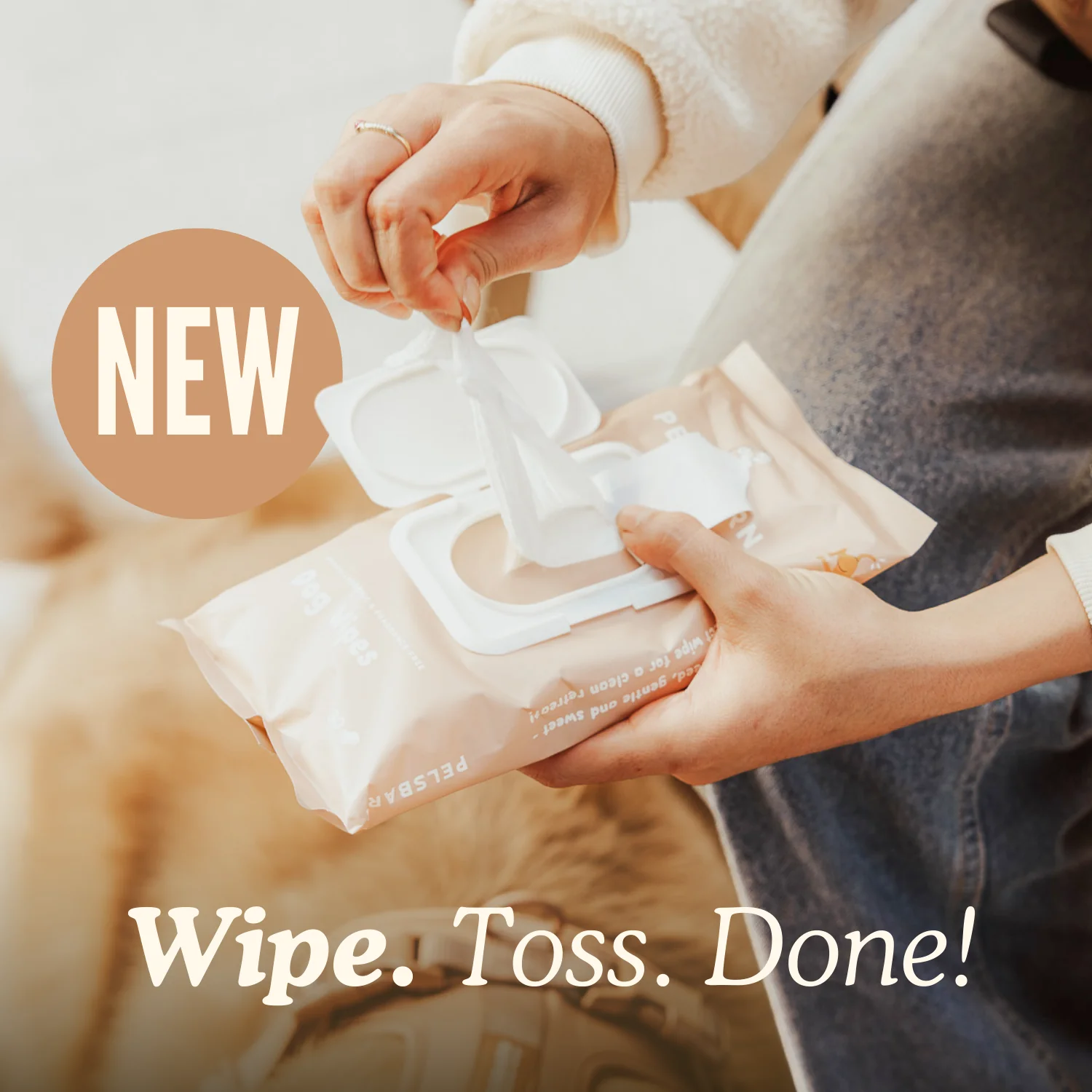 Eco Dog Wipes for clean paws - Image 6