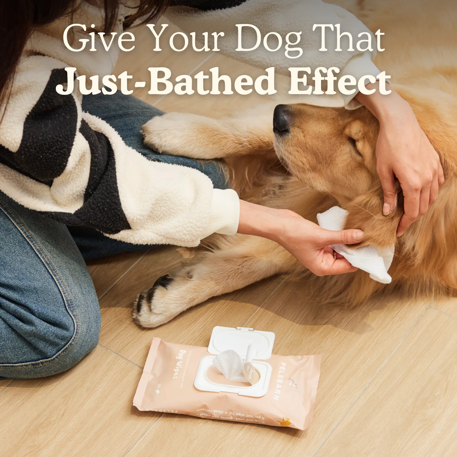 Eco Dog Wipes for clean paws - Image 8
