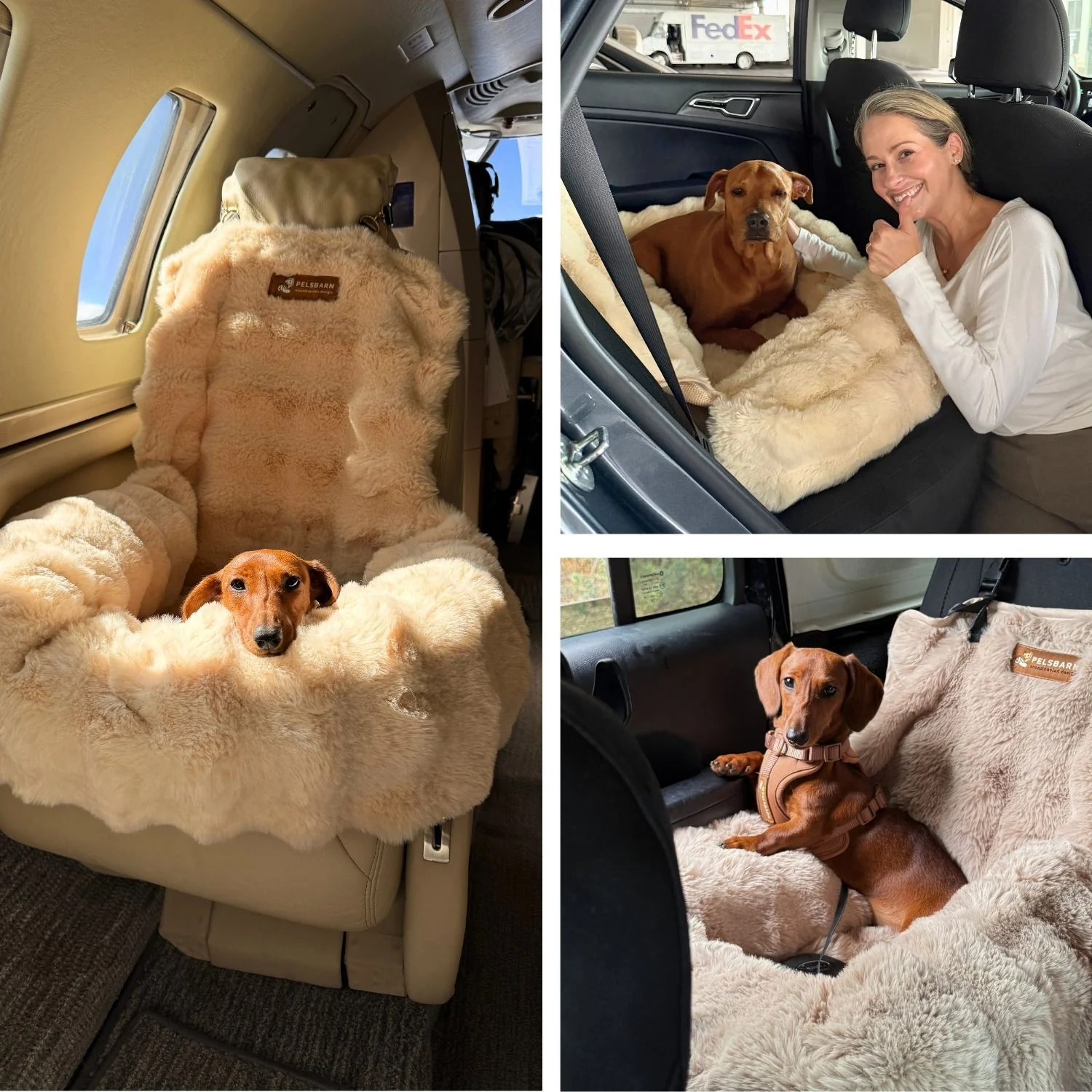 Luxurious Cozy Car Bed - Image 17