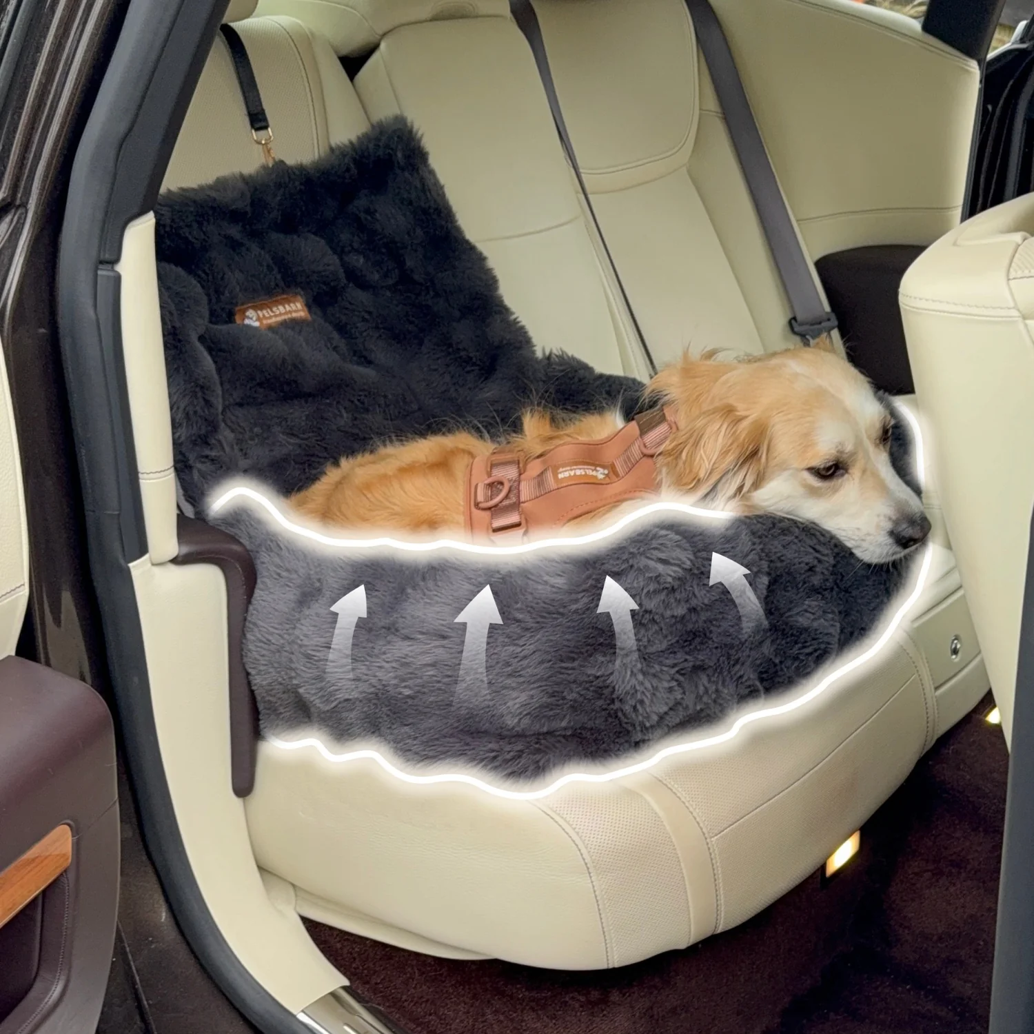 Luxurious Cozy Car Bed - Image 6