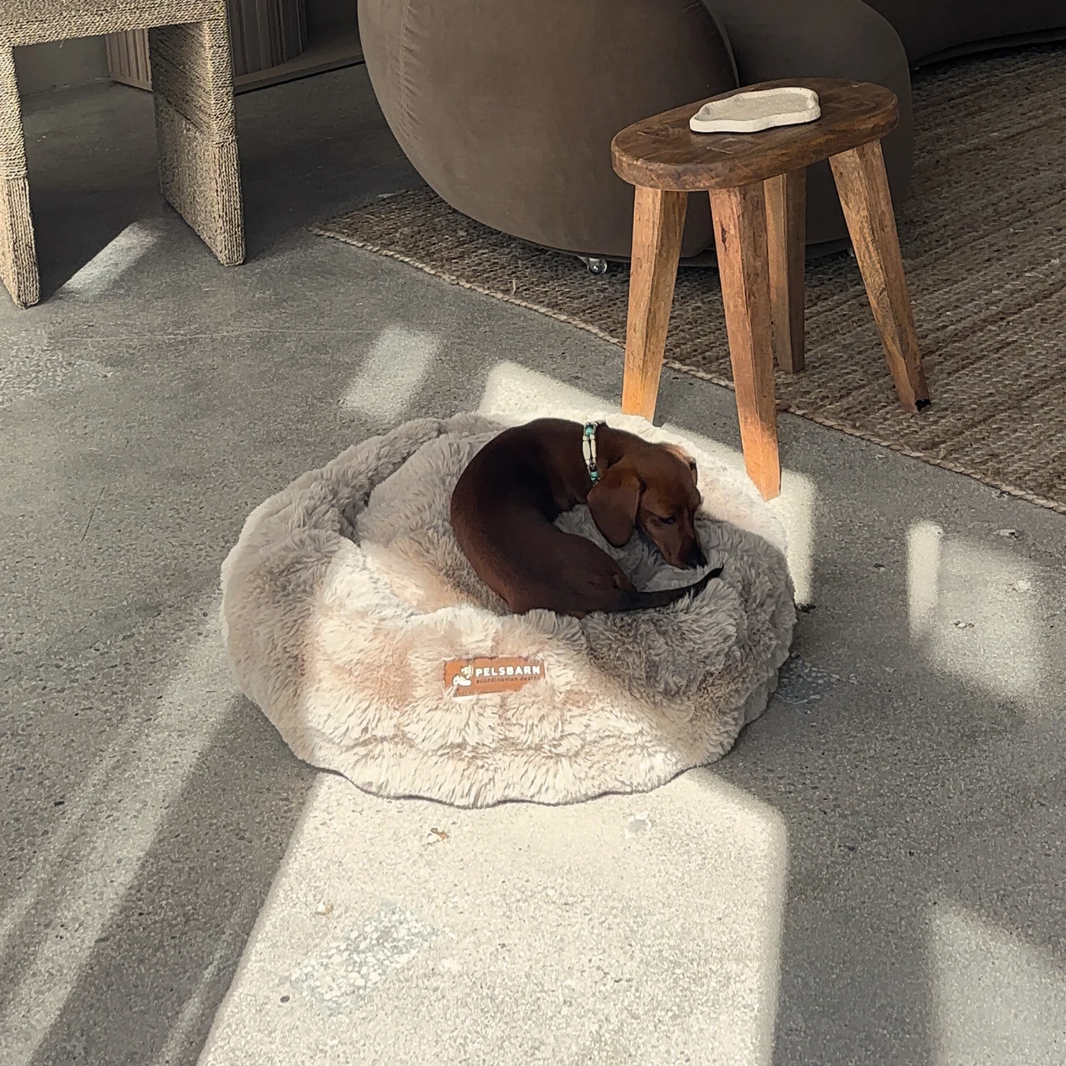 Luxurious Donut Bed 1+1 - Image 10