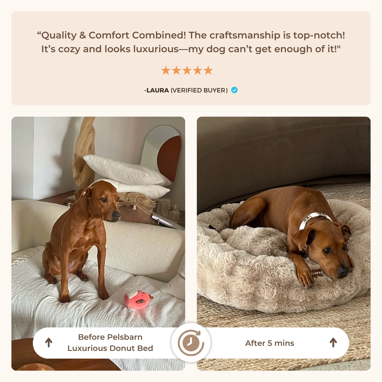 Luxurious Donut Bed 1+1 - Image 3
