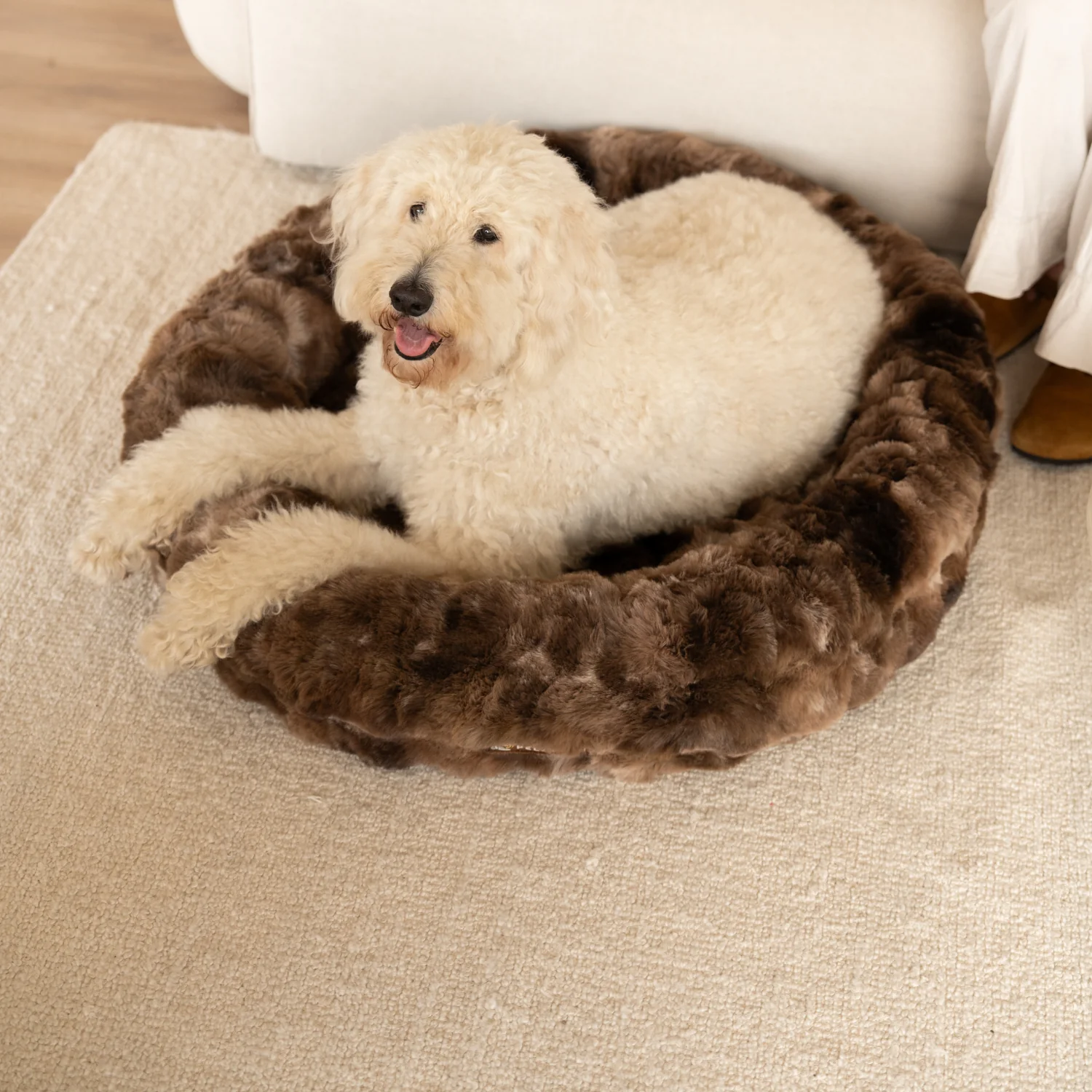 Luxurious Donut Bed 1+1 - Image 8