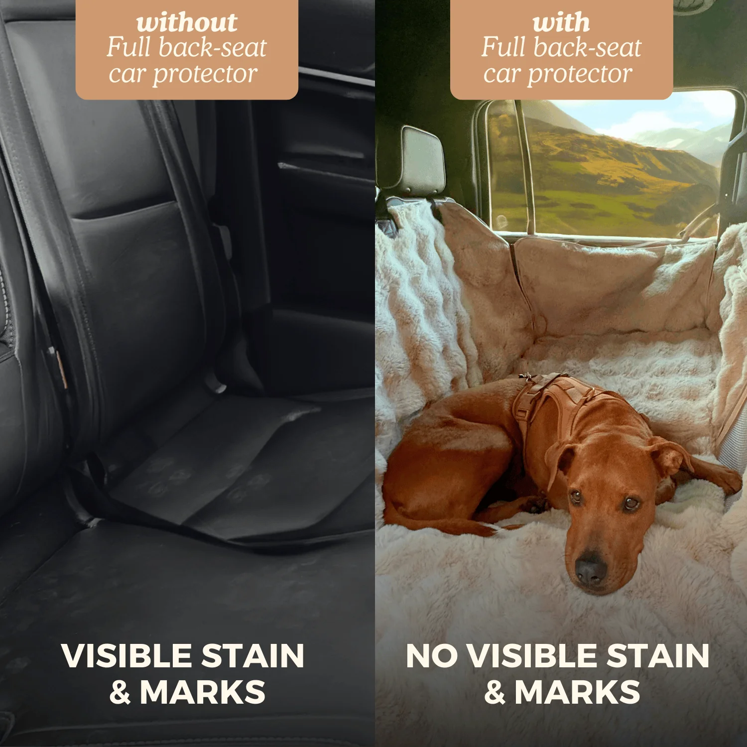Luxurious Full Backseat Protector + Free Calming Blanket - Image 7