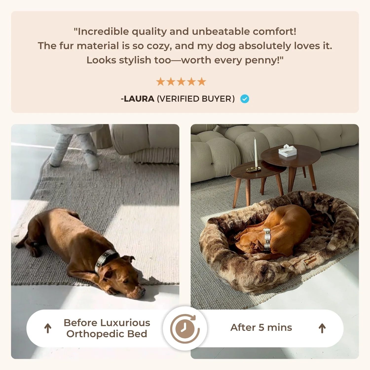 Luxurious Orthopedic Bed - Image 8