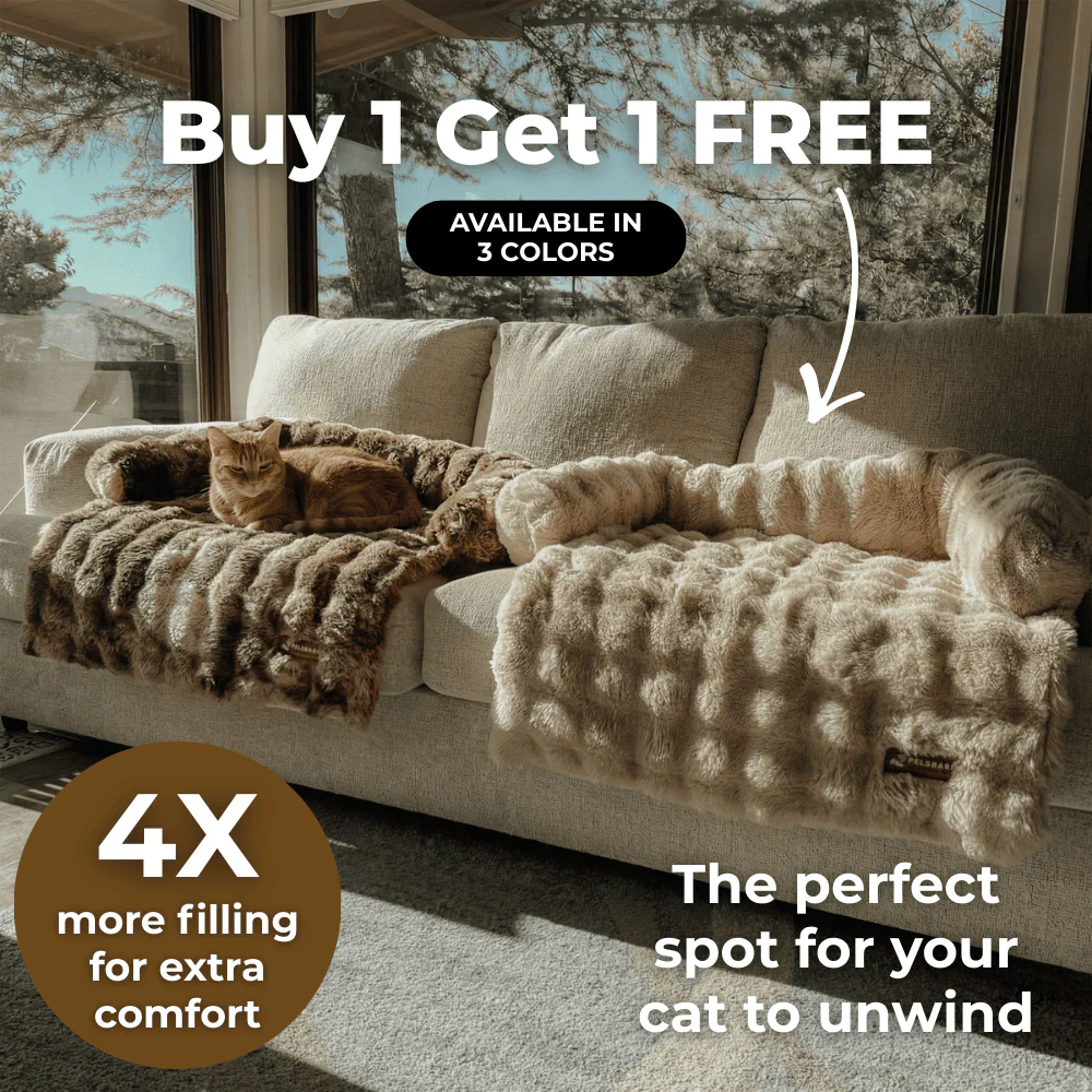 Pelsbarn Luxurious Sofa Bed ( 1+1 ) for Cats