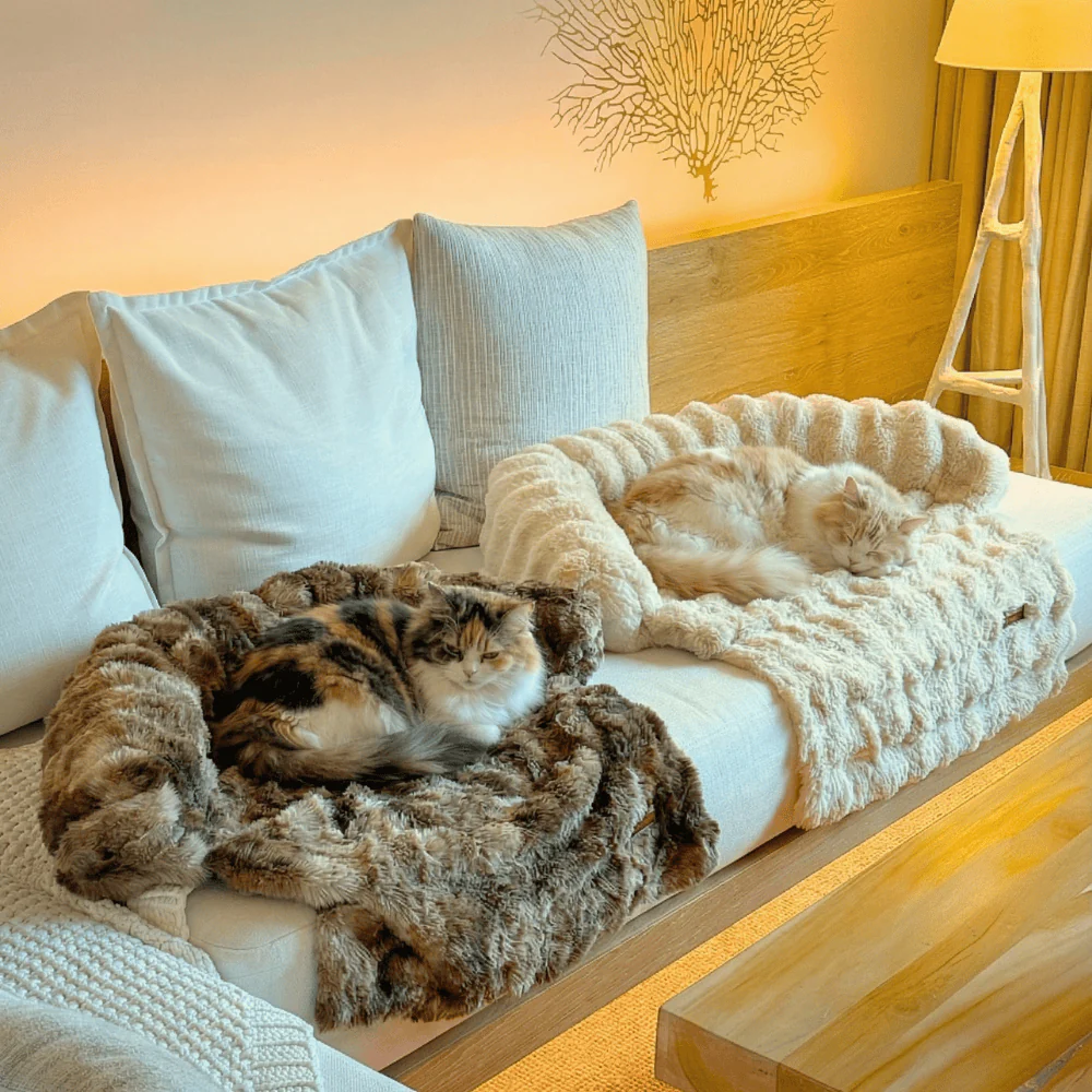 Pelsbarn Luxurious Sofa Bed ( 1+1 ) for Cats - Image 13