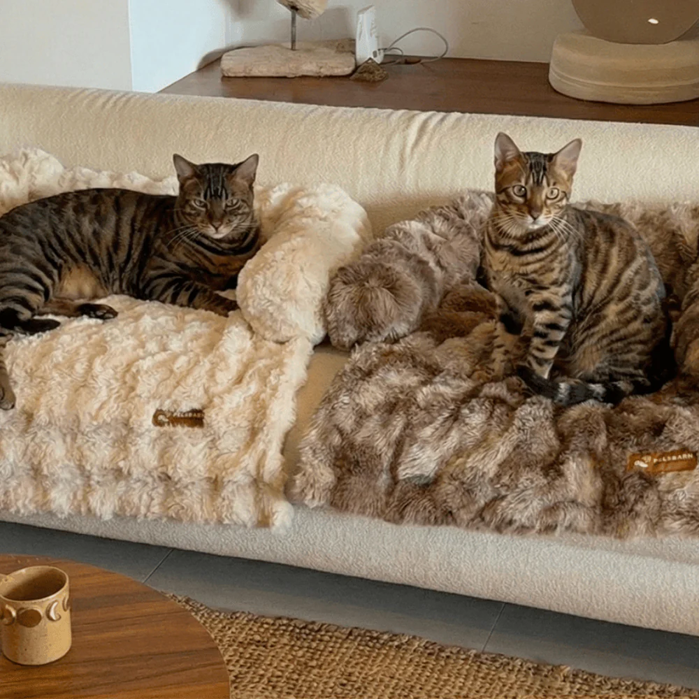 Pelsbarn Luxurious Sofa Bed ( 1+1 ) for Cats - Image 14
