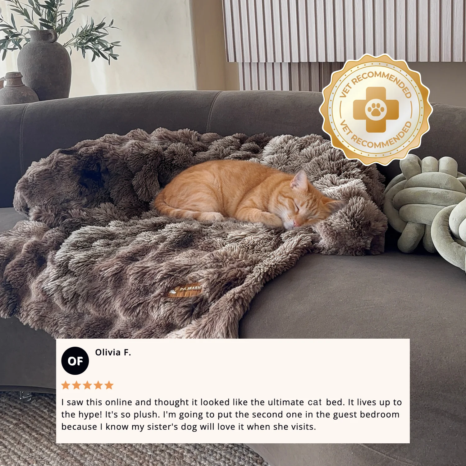 Pelsbarn Luxurious Sofa Bed ( 1+1 ) for Cats - Image 17