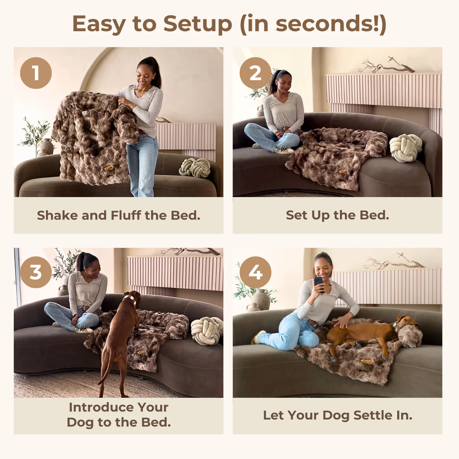 Pelsbarn Luxurious Sofa Bed ( 1+1 ) for Cats - Image 23