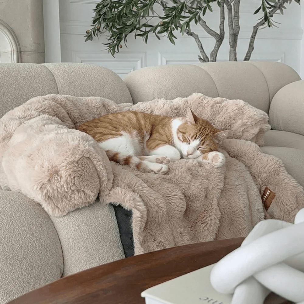 Pelsbarn Luxurious Sofa Bed ( 1+1 ) for Cats - Image 6