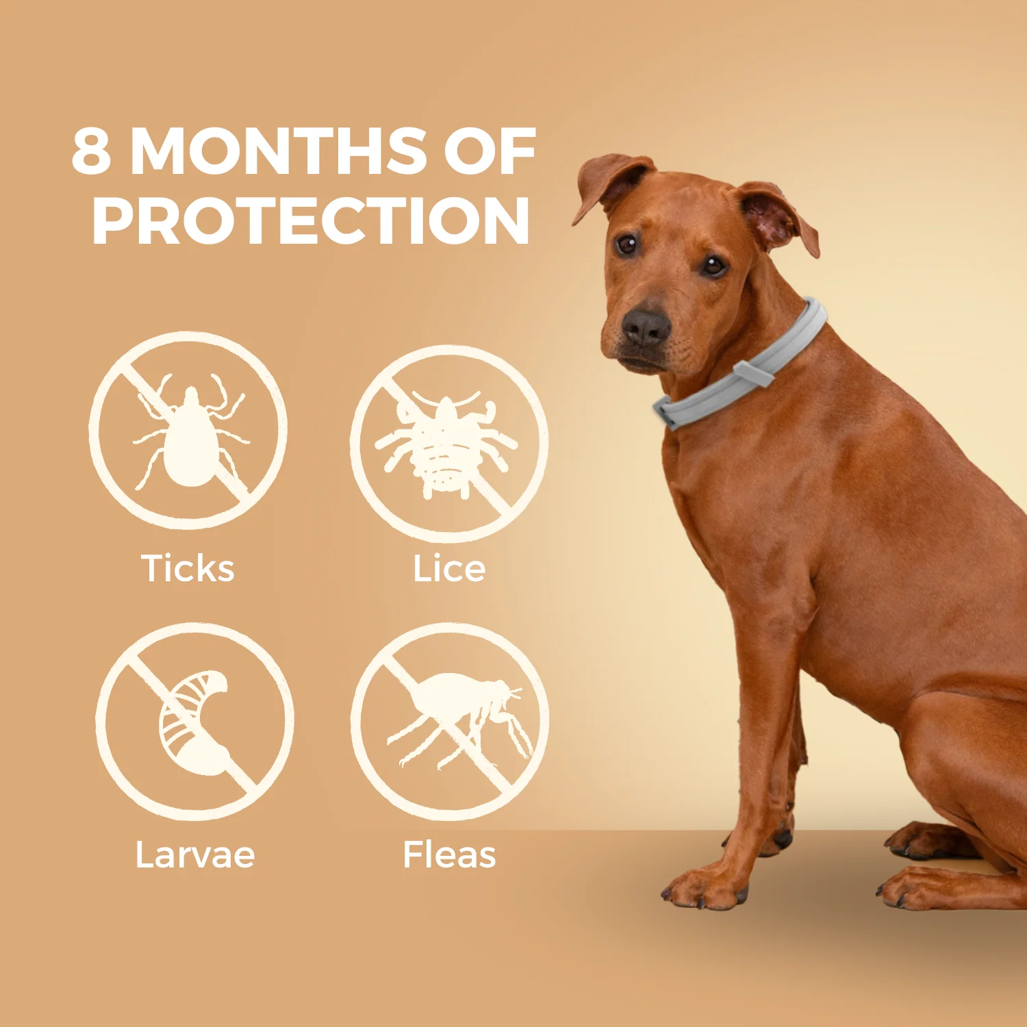Natural Flea & Tick Prevention Collar - Image 2