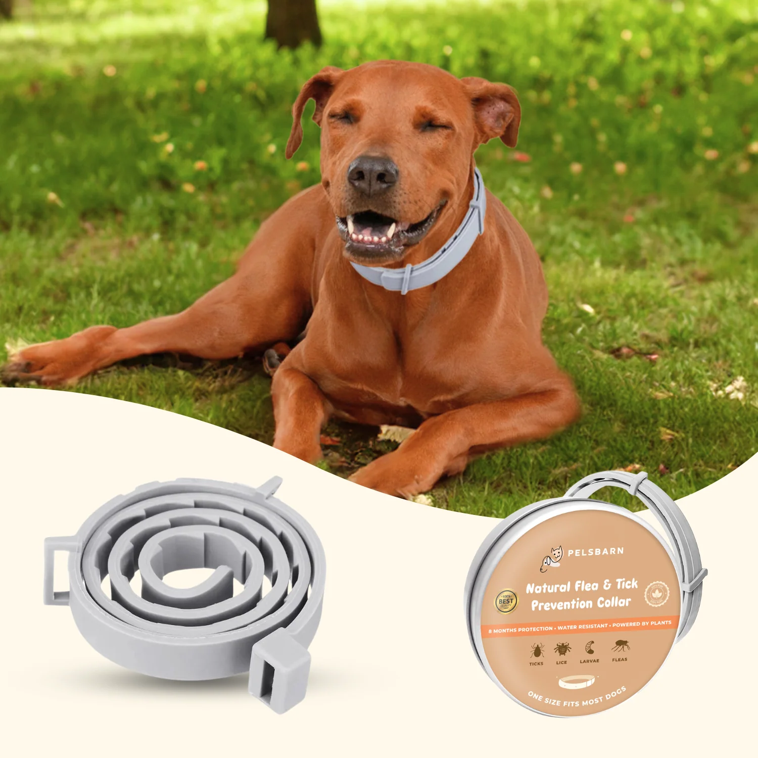 Natural Flea & Tick Prevention Collar - Image 5