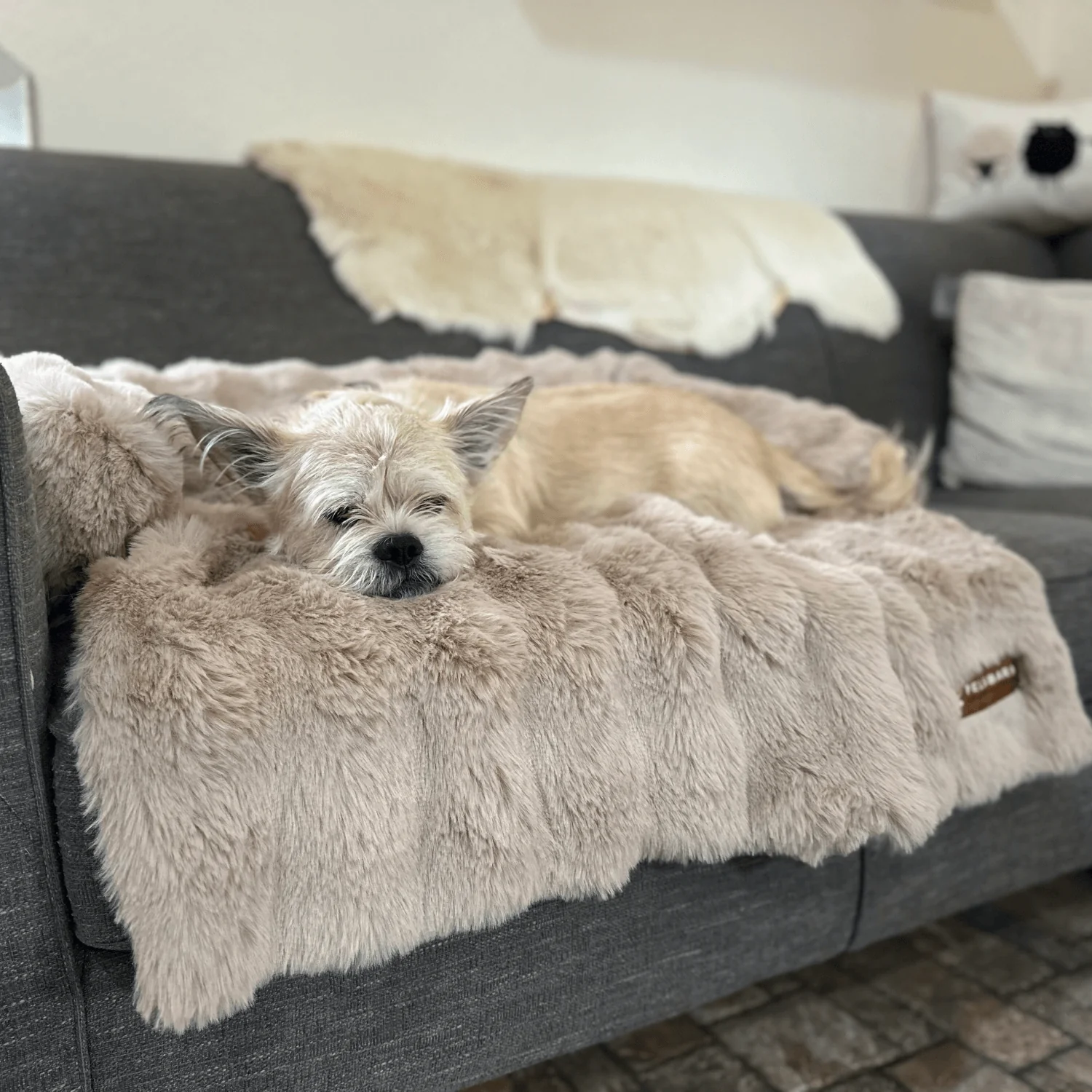Pelsbarn Luxurious Sofa Bed ( 1+1 ) - Image 13