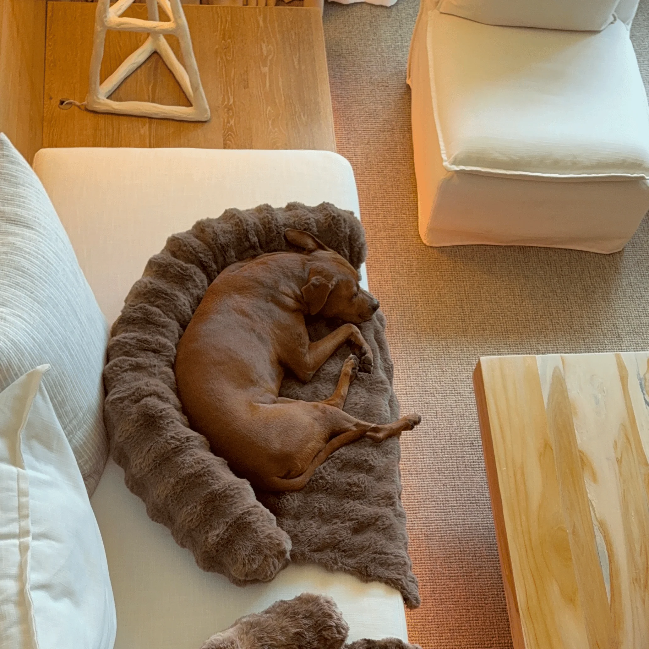 Pelsbarn Luxurious Sofa Bed ( 1+1 ) - Image 22