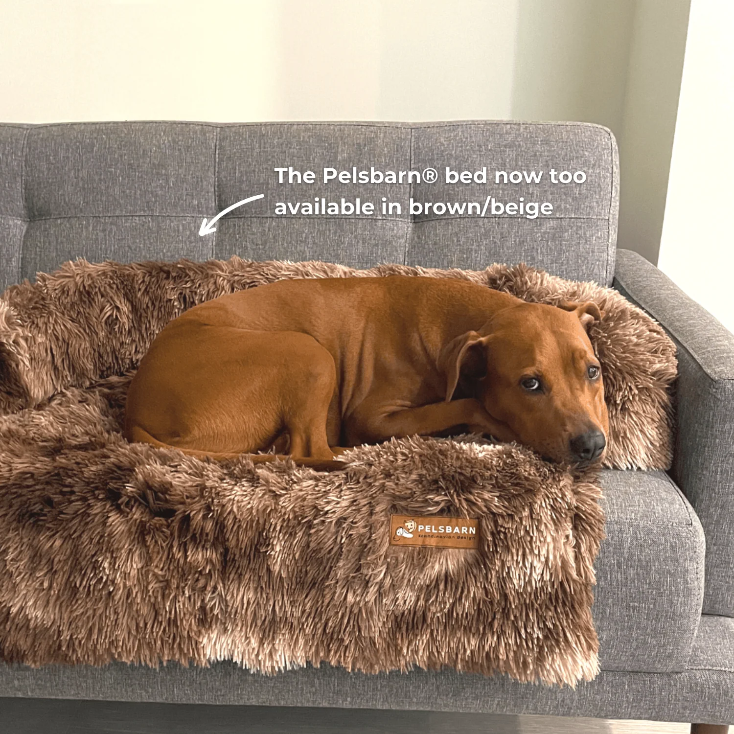 Original Pelsbarn Bed + FREE calming blanket - Image 11