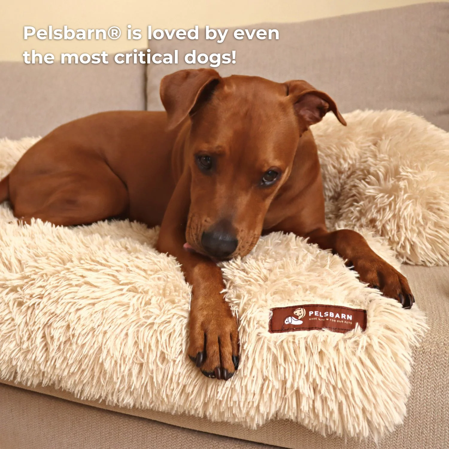 Original Pelsbarn Bed + FREE calming blanket - Image 4