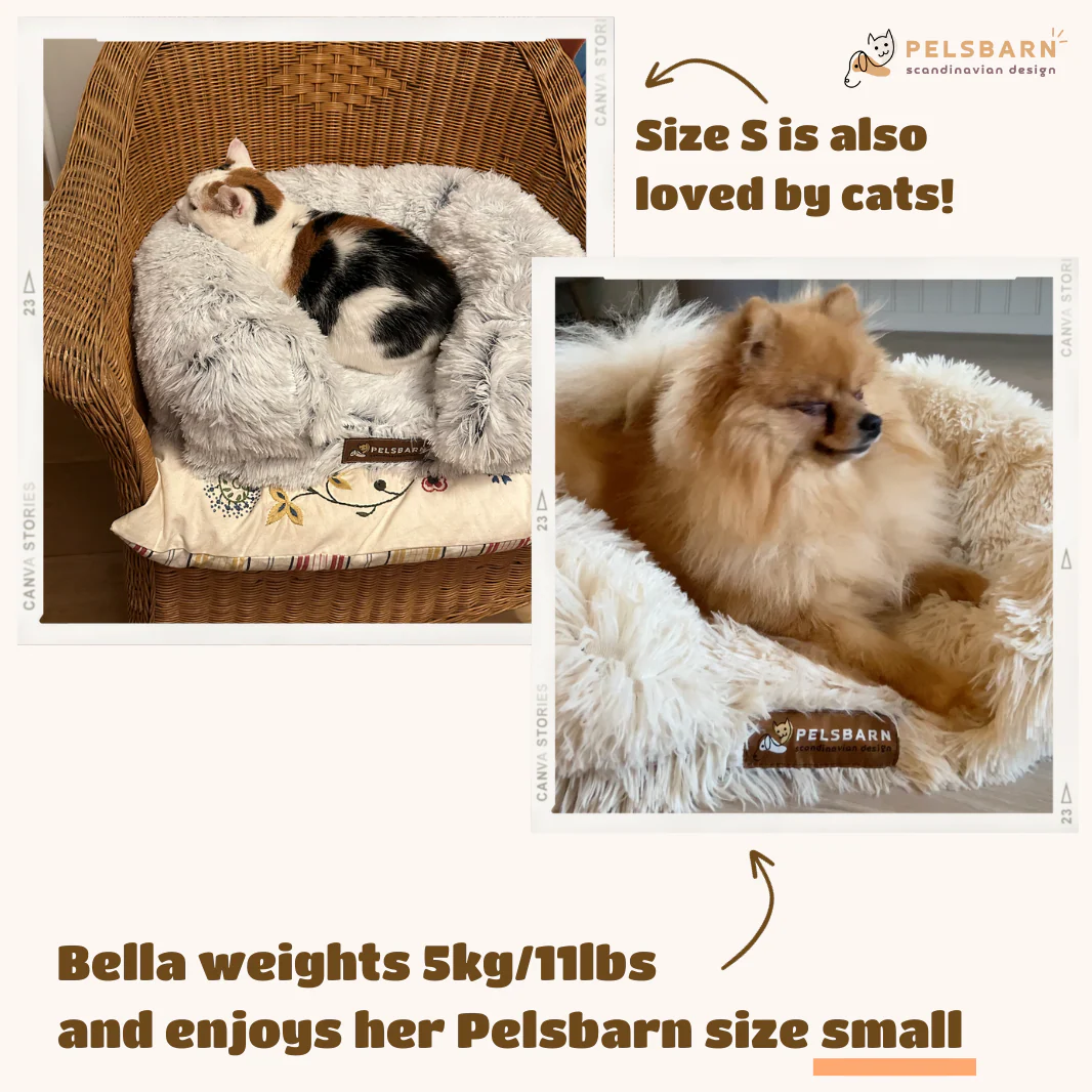 Orthopedic Calming Dog Bed - Image 10