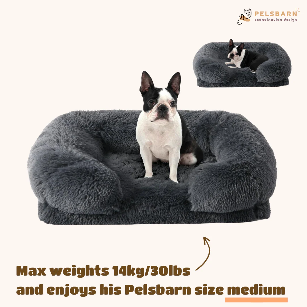 Orthopedic Calming Dog Bed - Image 11