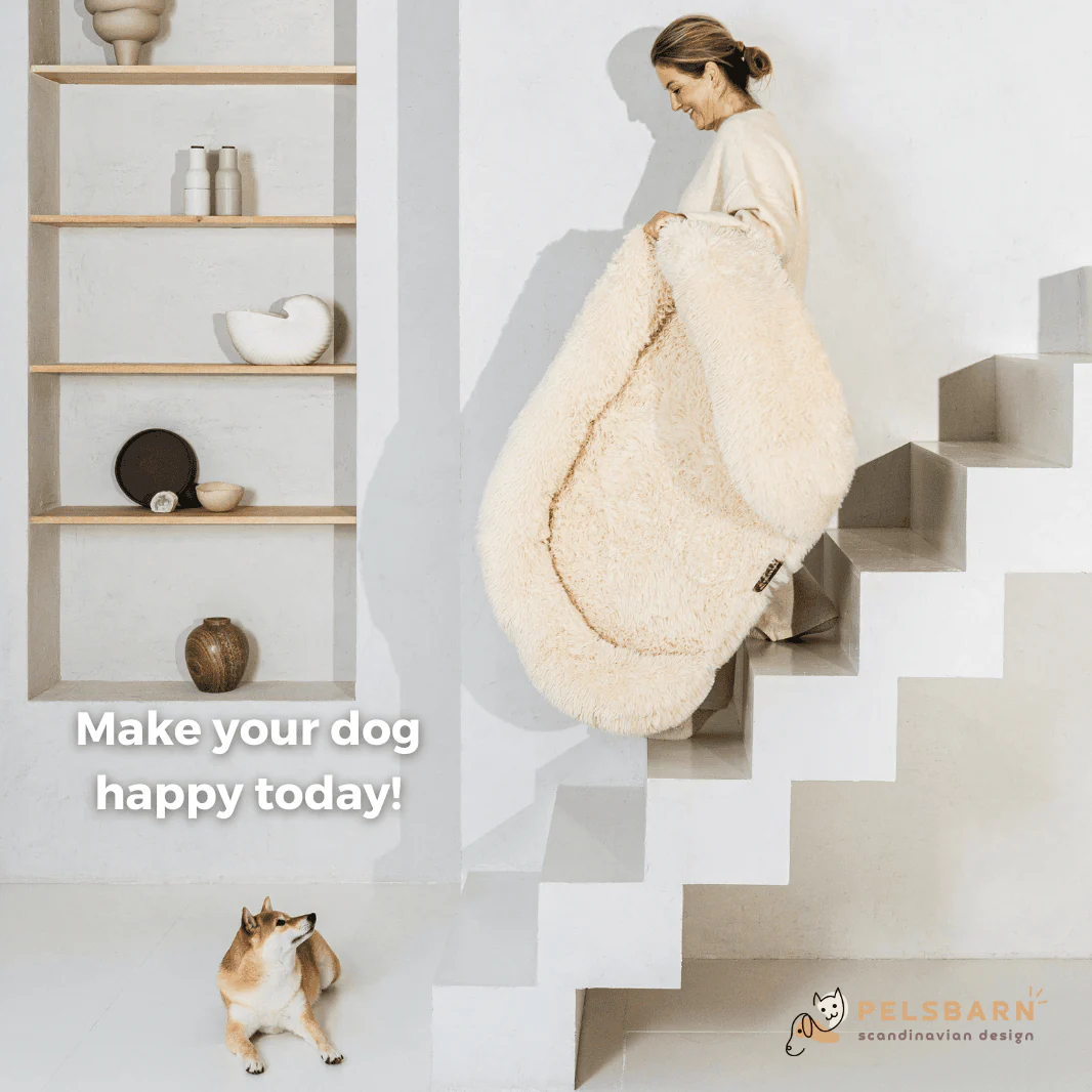 Orthopedic Calming Dog Bed - Image 18