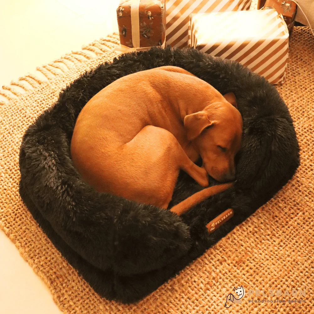 Orthopedic Calming Dog Bed - Image 3