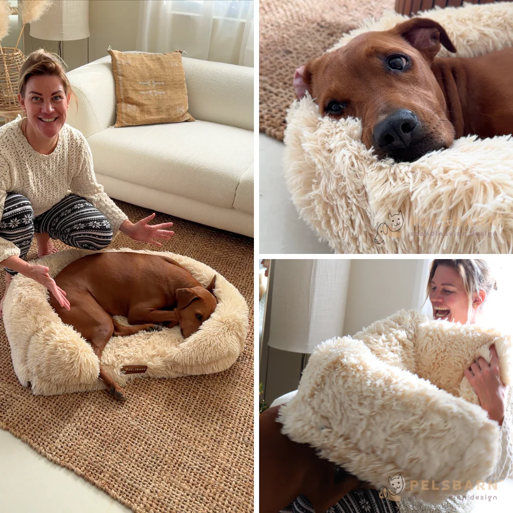 Orthopedic Calming Dog Bed - Image 5