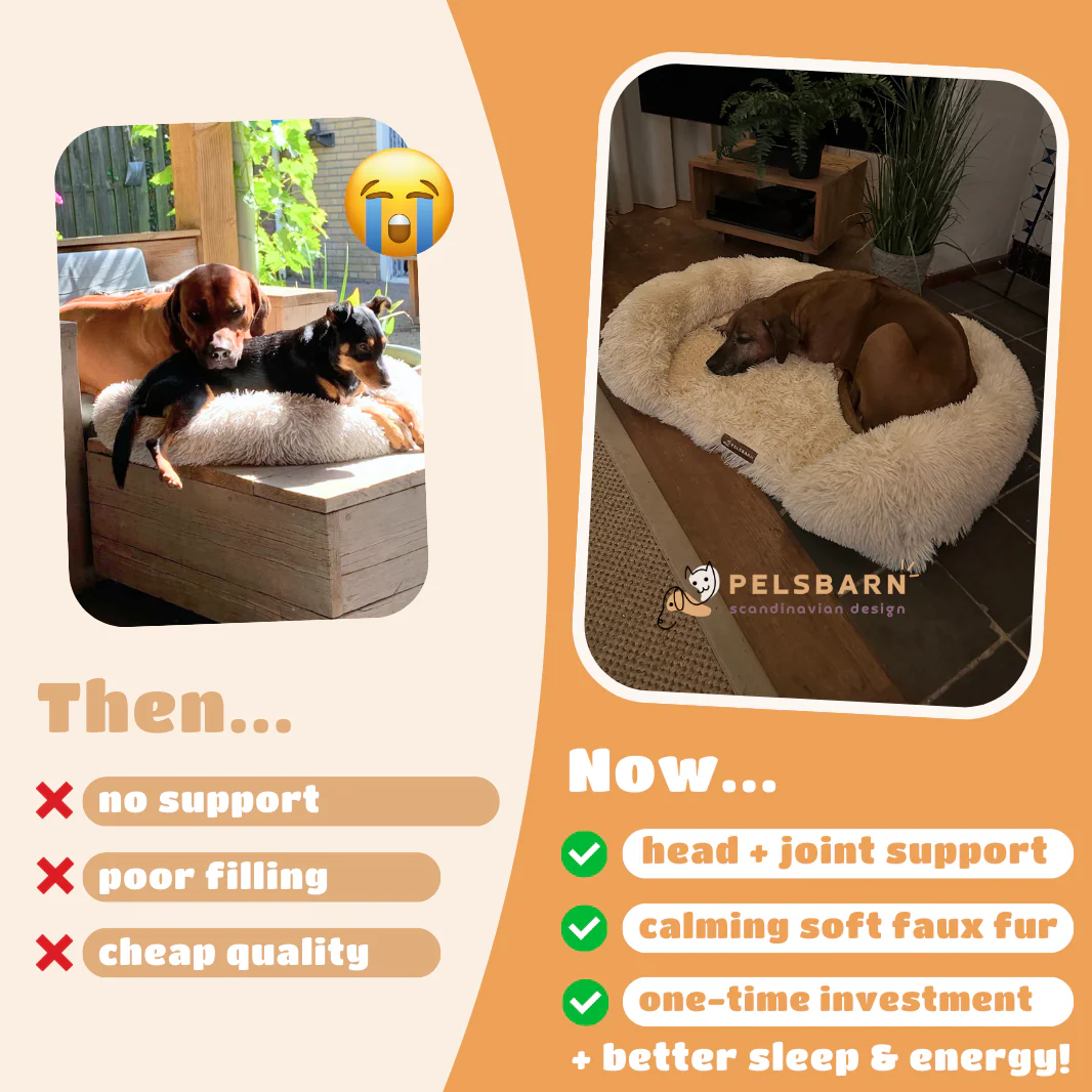 Orthopedic Calming Dog Bed - Image 6