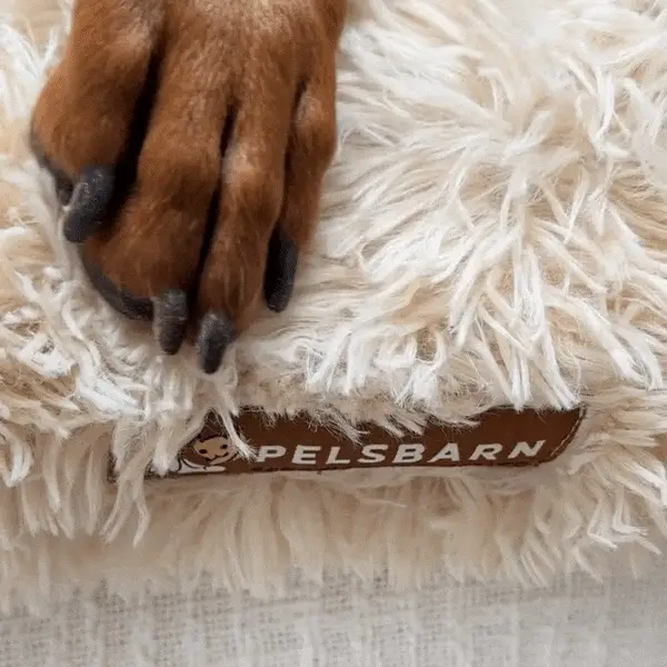 Orthopedic Calming Dog Bed - Image 7